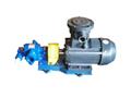WBZ卧式齿轮油泵装置-齿轮油泵装置